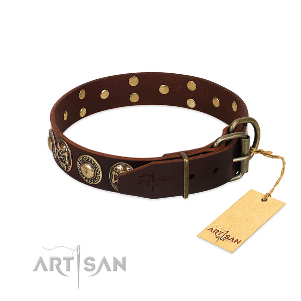 Corrosion proof studs on walking dog collar