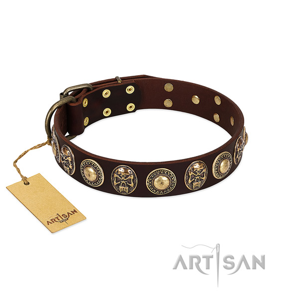 Exceptional full grain genuine leather dog collar for stylish walking