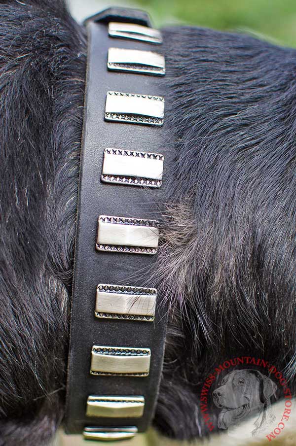 Close-Up Look of Vertical Silvery Plates Having Etched Edges