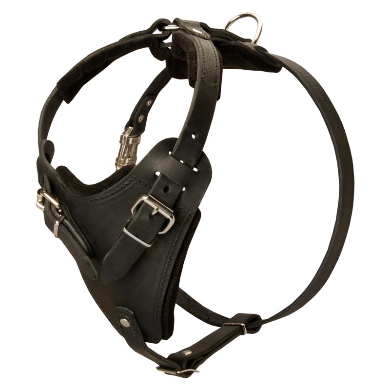 Sturdy Agitation/Protection Leather Dog Harness