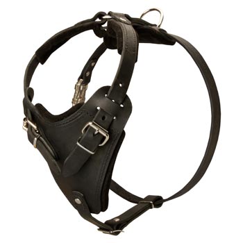 Dog Attack Training Swiss Mountain Dog Harness Easy Adjustable