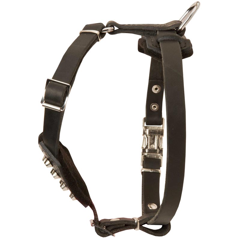 Buy Small Leather Puppy Harness, Dog Training