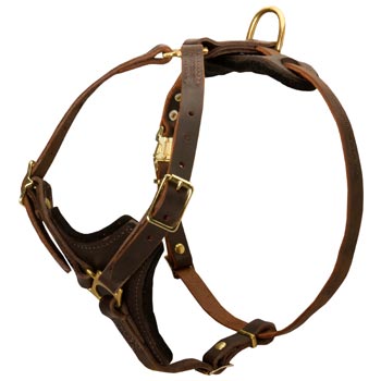 Swiss Mountain Dog Harness Y-Shaped Brown Leather Easy Adjustable for Best Fit