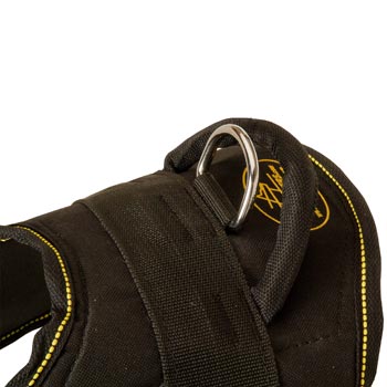 Heavy Duty Handle of Swiss Mountain Dog Harness