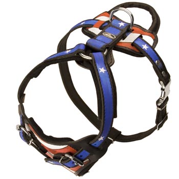 Leather SSwiss Mountain Dog Harness with Handle Stitched to Back Plate