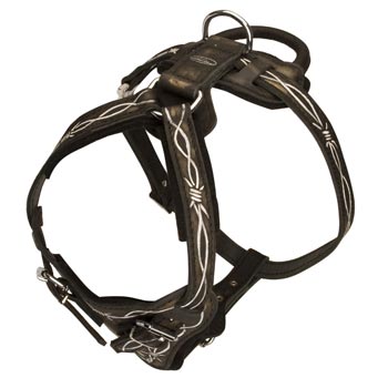 Agitation Training Leather Swiss Mountain Dog Harness