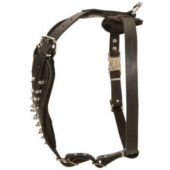 Adjustable Leather Harness for Swiss Mountain Dog