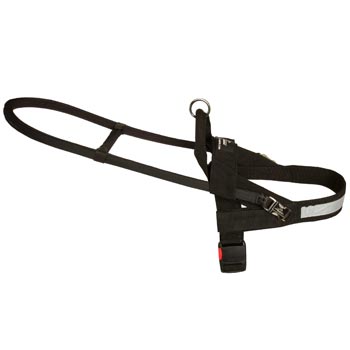 Swiss Mountain Dog Guide Harness Leather for Dog Assistance