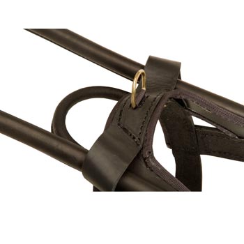 Swiss Mountain Dog Leather Guide Harness with ring for lead connection