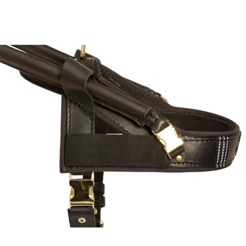 Swiss Mountain Dog Guide Harness Leather for Mobility Assistance