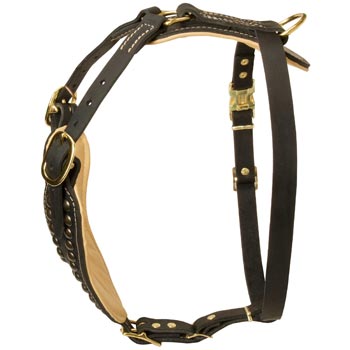 Custom Made Dog Harness for Swiss Mountain Dog
