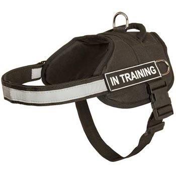 Nylon Swiss Mountain Dog Harness Multifunctional All-Weather Practical