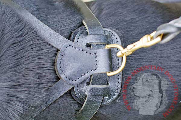 Stitched Back Plate with Solid Brass D-ring