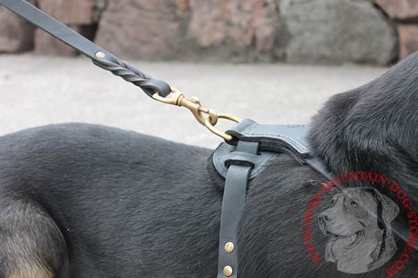 Swiss Mountain Dog Harness with D-ring and Leather Straps
