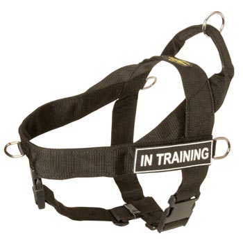 Swiss Mountain Dog Nylon Harness with ID Patches