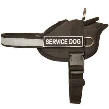 Swiss Mountain Dog Harness Nylon with Reflective Strap