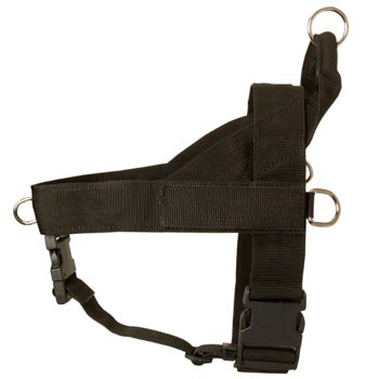 Swiss Mountain Dog Harness Nylon for Comfy Walking