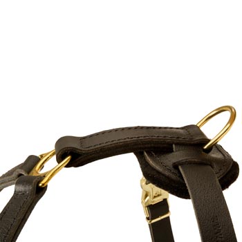 Corrosion Resistant D-ring of Swiss Mountain Dog Harness