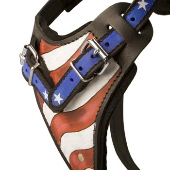 Swiss Mountain Dog Leather Harness With Hand Painted USA  Chest Plate