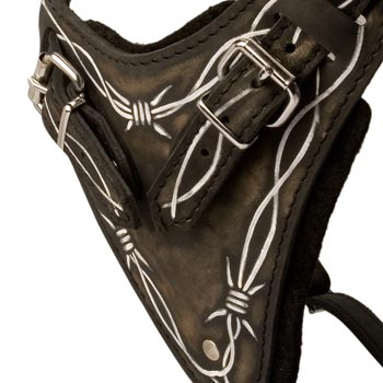 Padded Chest Plate of Swiss Mountain Dog Harness