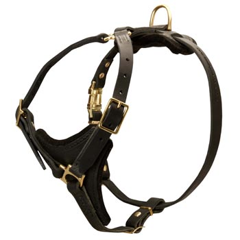 Swiss Mountain Dog Harness Black Leather with Padded Chest Plate for Training