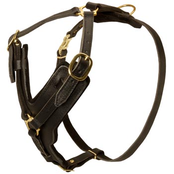 Comfortable Y-Shaped Leather Harness for Swiss Mountain Dog Attack  Training