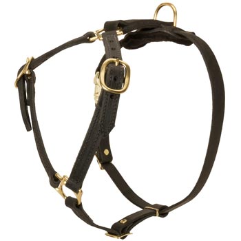 Leather Swiss Mountain Dog Harness Light Weight Y-Shaped for Tracking Dog
