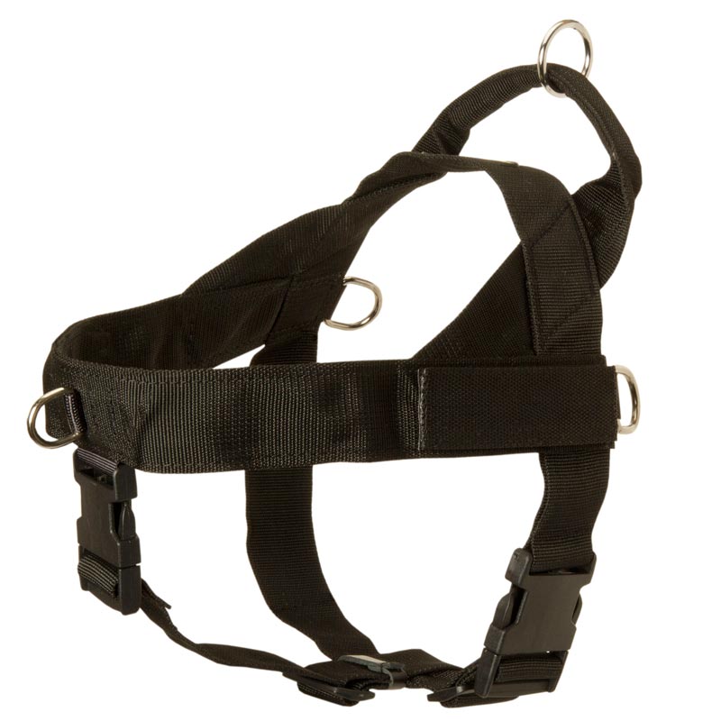 Swiss Mountain Dog Harness Nylon with Patches