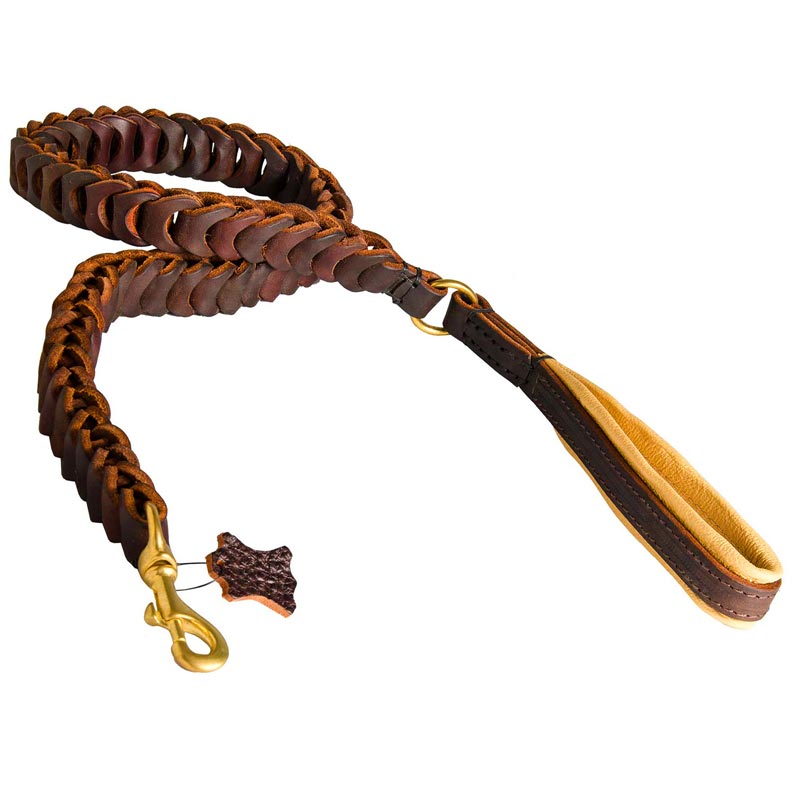 Choose Best Fully Braided Leather Dog Leash