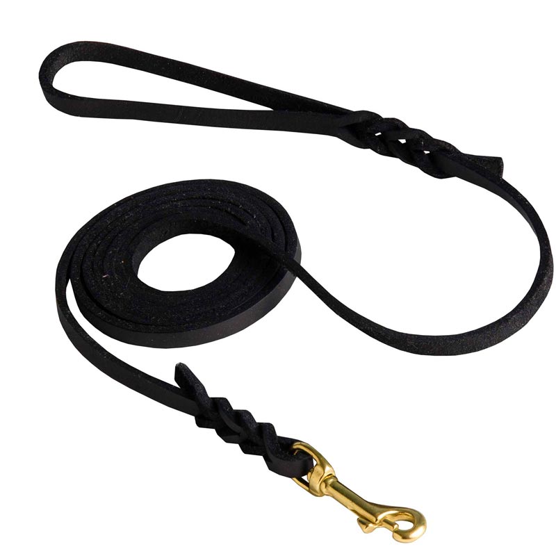 Swiss Mountain Dog Leash Braided at Either End for Dog Shows
