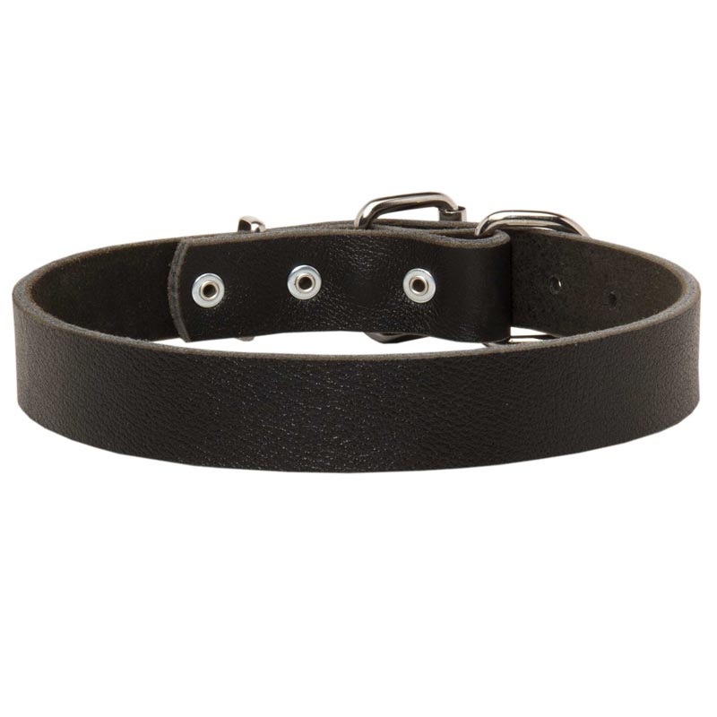 Swiss Mountain Dog Leather Dog Collar For Pleasant Wearing