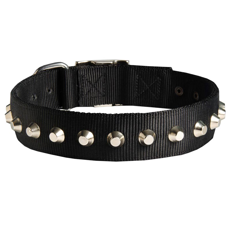 Exclusive Nylon Swiss Mountain Dog Collar with Awesome Nickel Cones