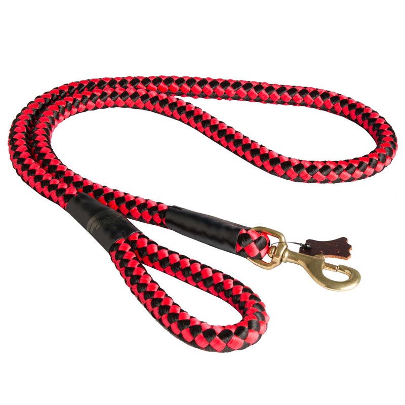Nylon Cord Swiss Mountain Dog Leash for Walking and Training