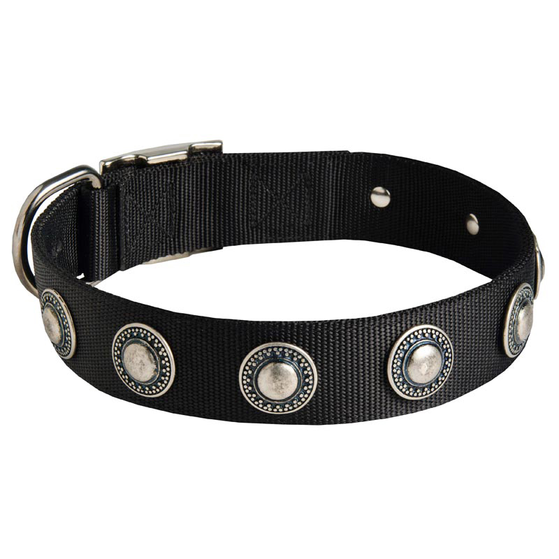 Swiss Mountain Dog Nylon Dog Collar with Circles Decoration