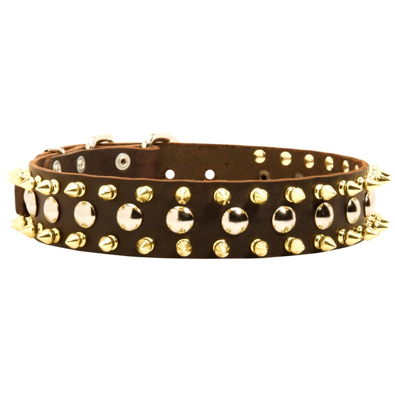Spiked and Studded Swiss Mountain Dog Leather Collar