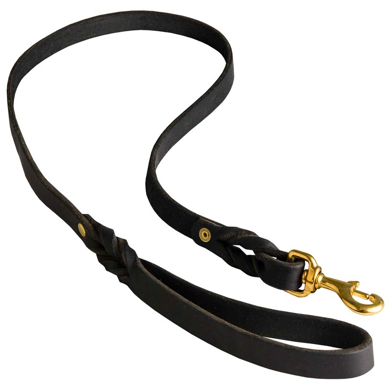 Leather dog training clearance leash