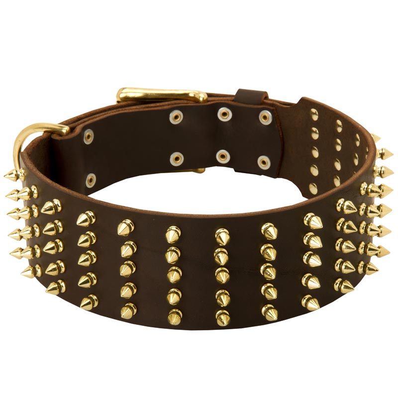 Wide Spiked Leather Swiss Mountain Dog Collar