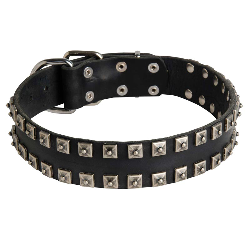 New Leather Swiss Mountain Dog Collar - Fashion Exclusive Design - "Caterpillar"