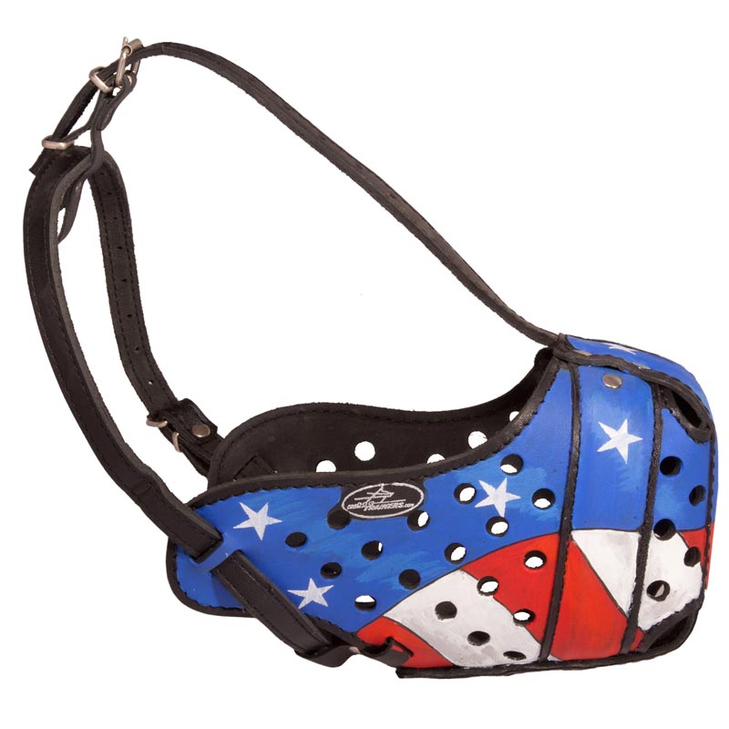 American Pride Painted Leather Swiss Mountain Dog Muzzle for Protection Training