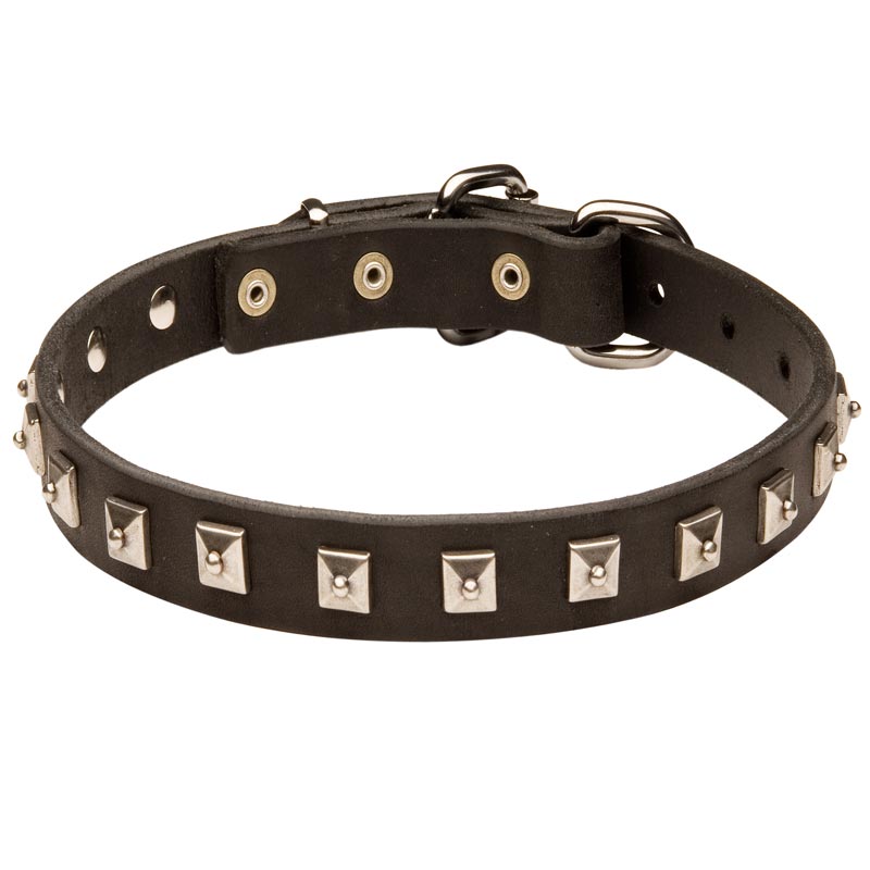 Swiss Mountain Dog Leather Collar Caterpillar Design