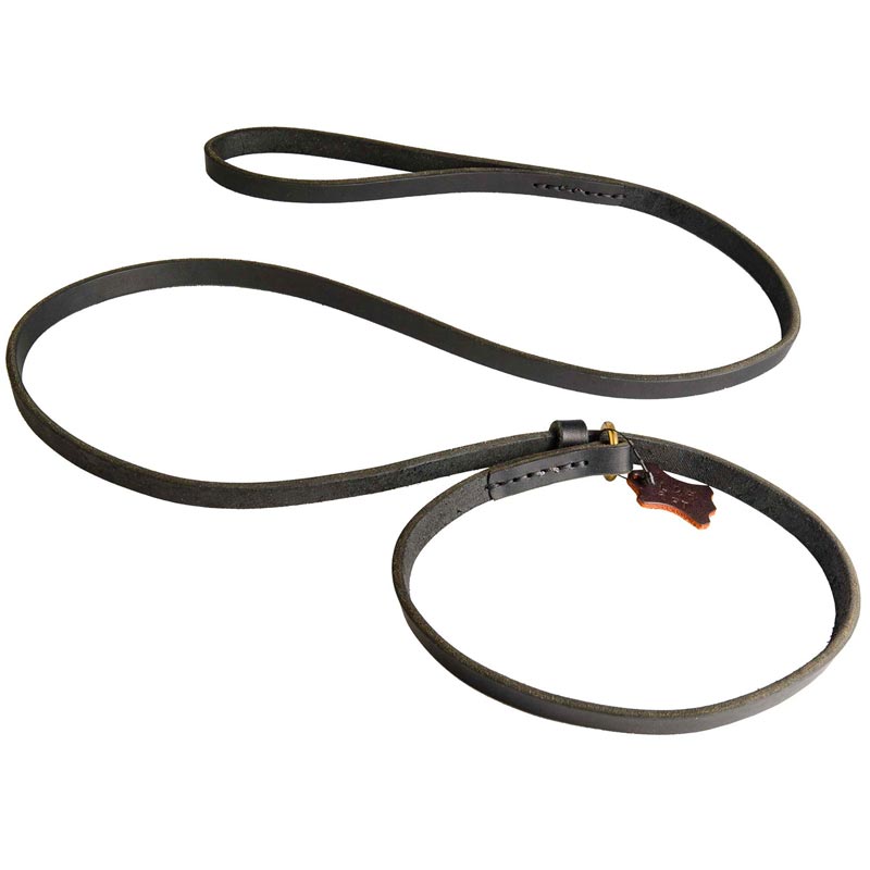 Leather Swiss Mountain Dog Choke Collar and Leash Combo for