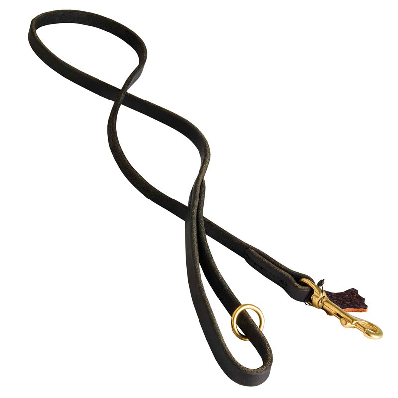 Handcrafted Leather Swiss Mountain Dog Leash for Walking and Tracking