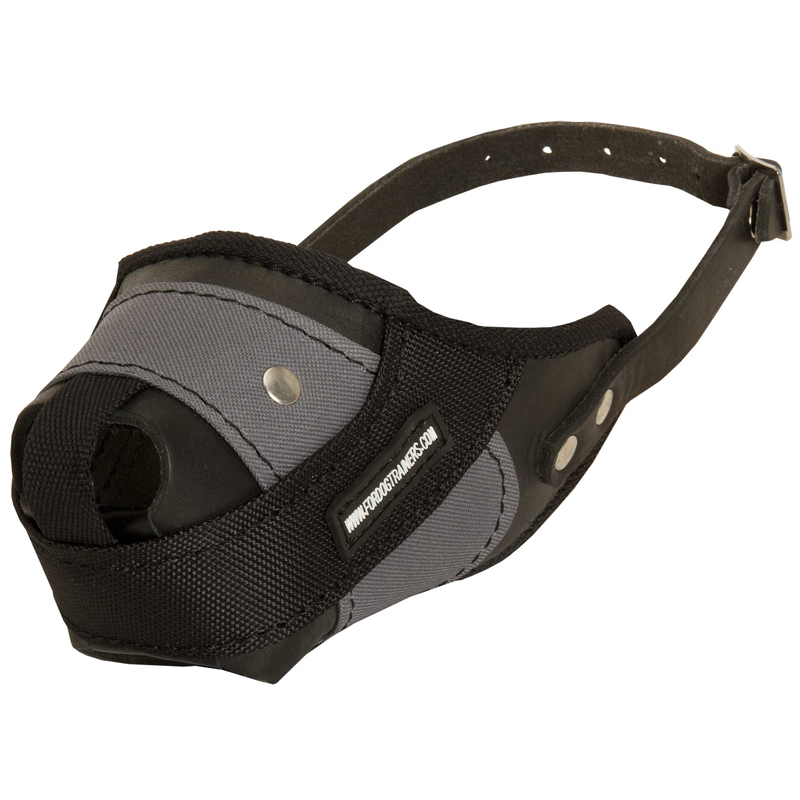 Protection Training Swiss Mountain Dog Muzzle Made of Nylon and Leather