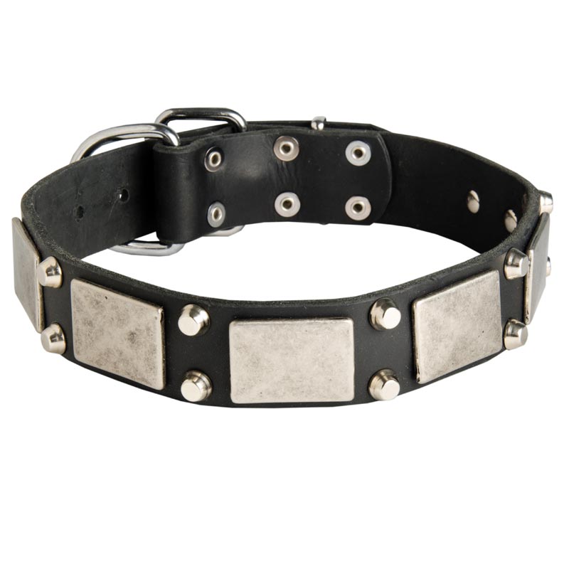 Leather Swiss Mountain Dog Collar Decorated with Nickel Cones and Plates - Click Image to Close