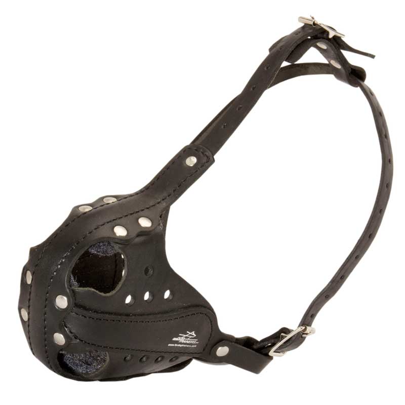 Leather Swiss Mountain Dog Muzzle for Agitation Training and Military Service - Click Image to Close