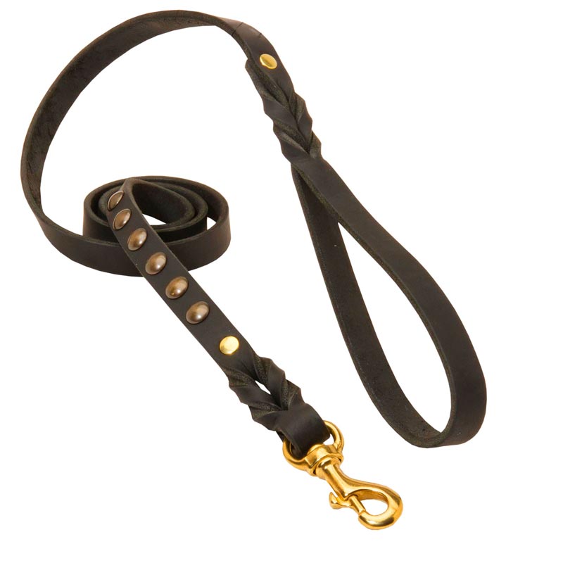 Studded Leather Swiss Mountain Dog Leash for Dog Walking and Training