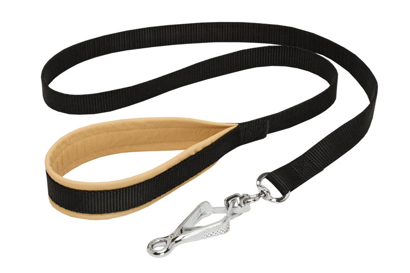 Nylon Swiss Mountain Dog Leash with Support Material on the Handle for Walking and Training