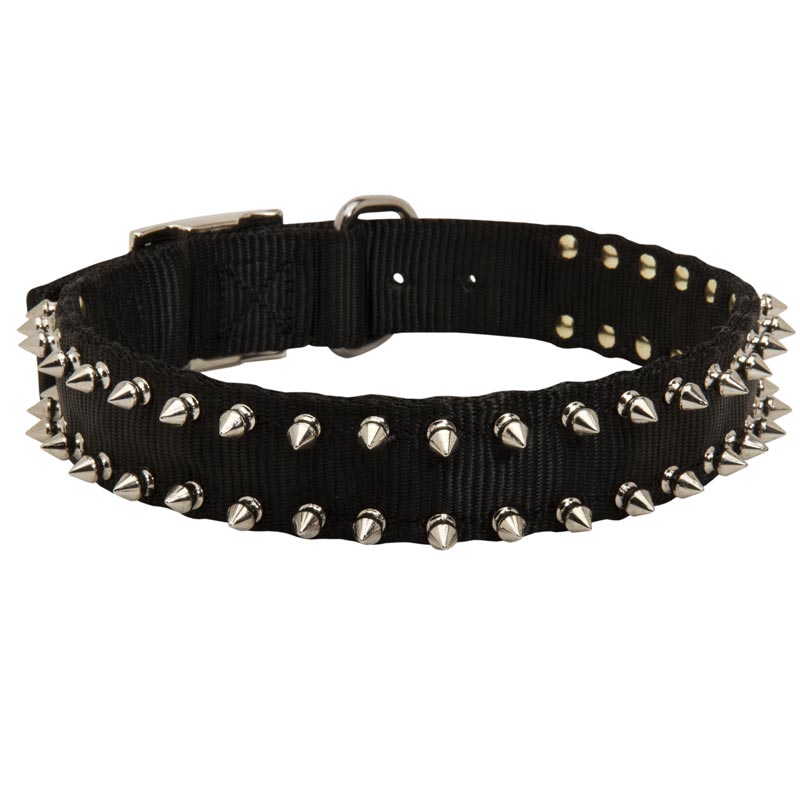 Swiss Mountain Dog Nylon Collar Spiked