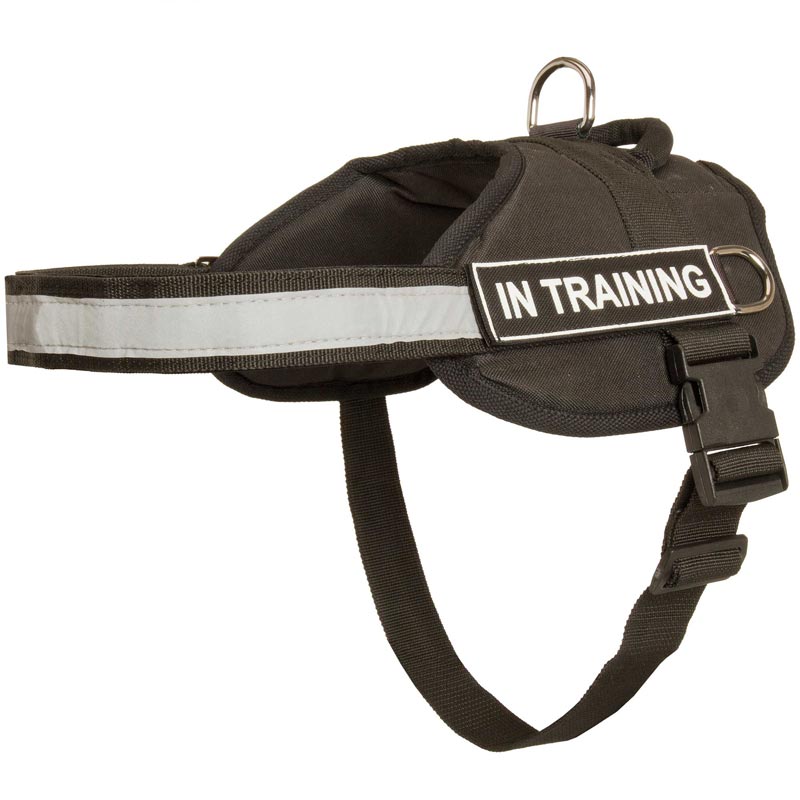 Nylon Swiss Mountain Dog Harness with Reflective Strap for Training, Walking, Police Service, SAR and More