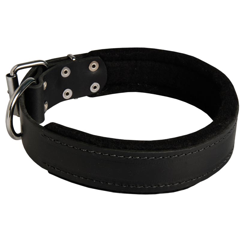 Swiss Mountain Dog Durable Padded Leather Collar 40 mm